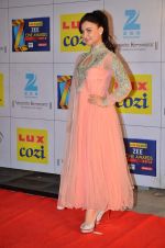 Elli Avram at Zee Awards red carpet in Filmcity, Mumbai on 8th Feb 2014